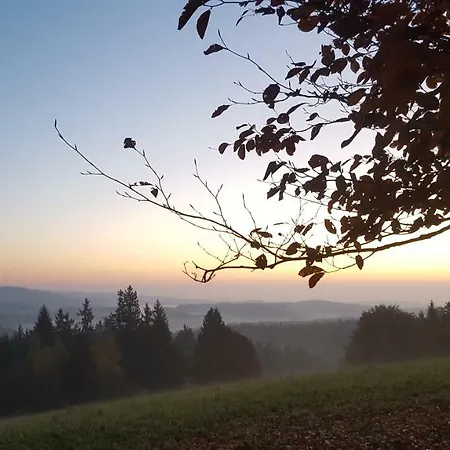 Steinwald-ferien *