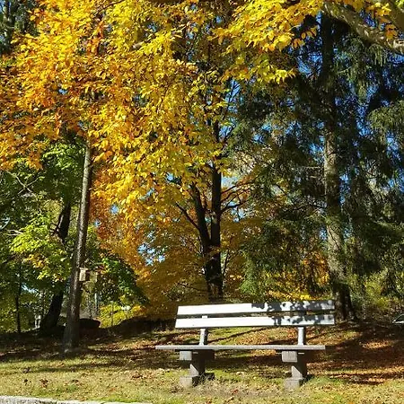 Steinwald-ferien *