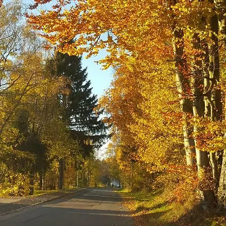 Steinwald-ferien